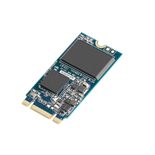 Advantech SQF-SM4 640 SQFlash 640 M.2 2242 SATA SSD, SATA Gen.3 (6.0Gbps)