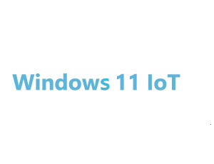 Advantech Windows 11 IoT Enterprise Windows IoT Operating System