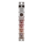 BNI009U - BNI ECT-507-005-Z040 (EtherCAT için ağ blokları) - Görsel 5