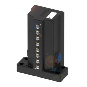 BNS01MF - BNS 819-D08-R16-62-10 (Mekanik çok konumlu limit sviçler)
