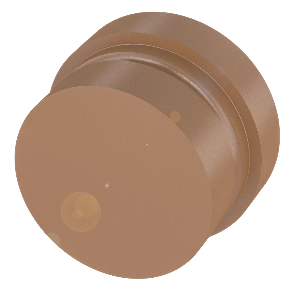 BIS01E1 - BIS C-122-04/L-SA2 (RFID LF etiketleri (70/455 kHz))
