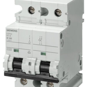 5SP4291-7 100A; 2 FAZLI; 70MM OTOMAT; ANAHTARLI OTOMATİK SİGORTA; 10KA; C TİPİ; YAVAŞ KARAKTERLİ