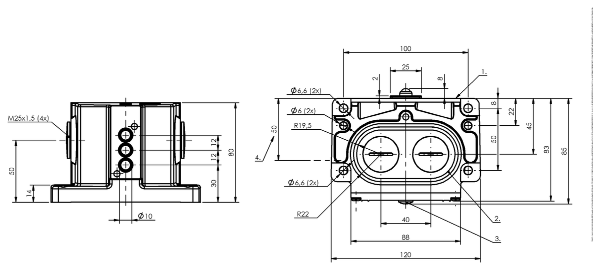 BNS00EH - BNS 819-D03-K12-100-10-FD (Mekanik çok konumlu limit sviçler) - Görsel 2
