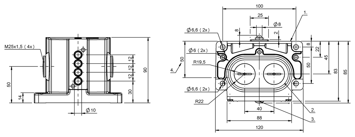 BNS04T6 - BNS 819-D04-K12-100-10-FE (Mekanik çok konumlu limit sviçler) - Görsel 2