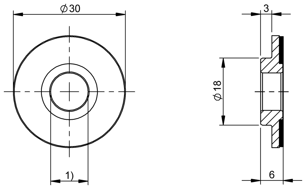 BML08A8 - BML DSS-NGCZ-HZZZ-X0030-0012 (Artımlı veya mutlak kodlamalı manyetik bantlar) - Görsel 2