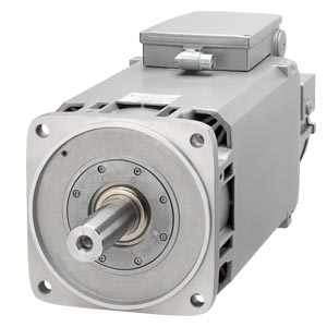 Siemens 1PH8165-3.D0.-...1 Orijinal Premium Parça